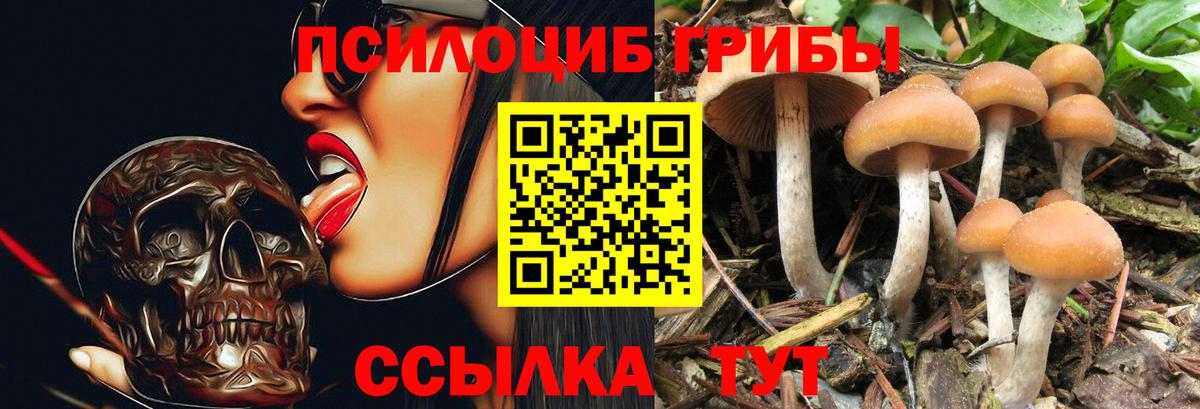 Галлюциногенные грибы мухоморы Волгоград