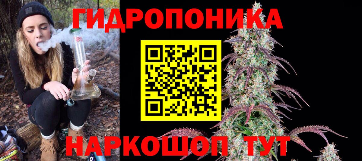 МАРИХУАНА OG Kush Волгоград